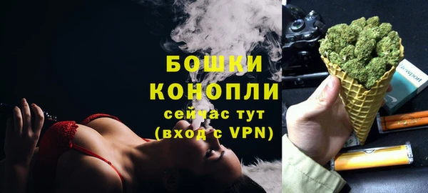 дмт Гусев