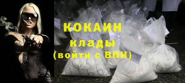 дмт Гусев
