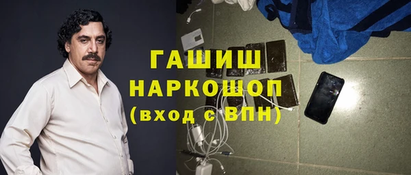 дмт Гусев