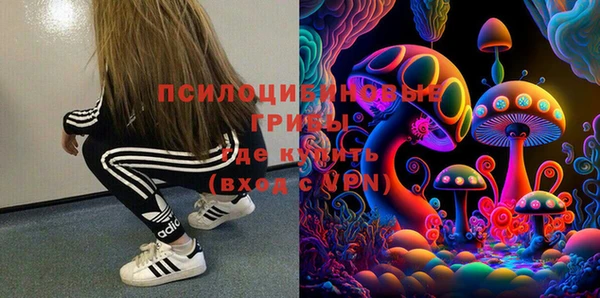 дмт Гусев