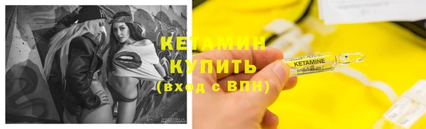 эйфоретик Гусь-Хрустальный