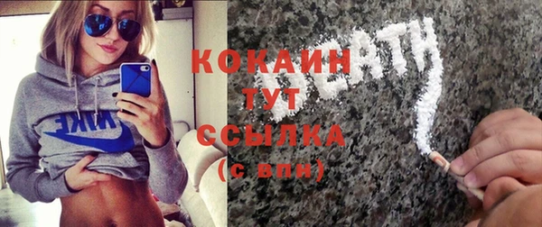 дмт Гусев