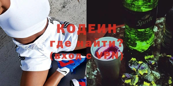 дмт Гусев