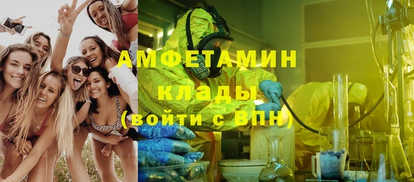 эйфоретик Гусь-Хрустальный