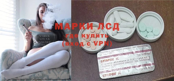 эйфоретик Гусь-Хрустальный
