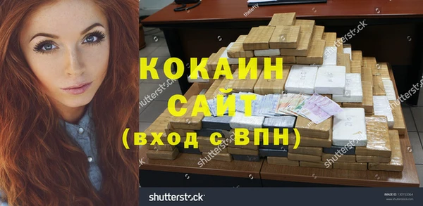 дмт Гусев