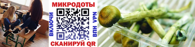 Псилоцибиновые грибы Magic Shrooms  сколько стоит  Славск 